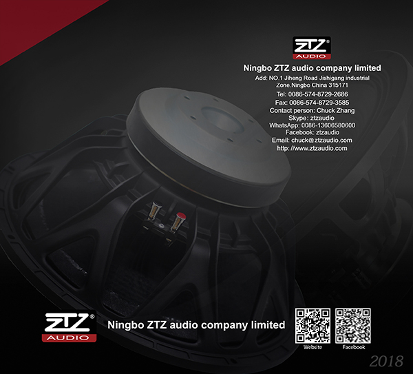 Parlante profesional